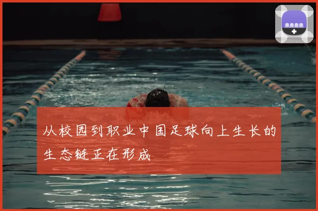 从校园到职业中国足球向上生长的生态链正在形成