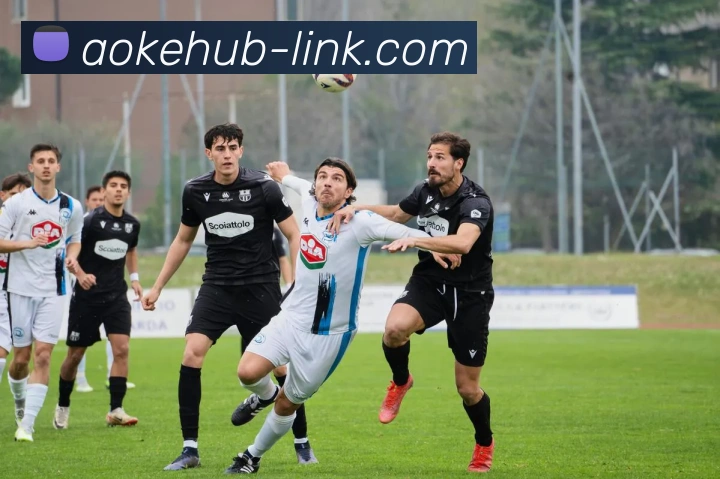 澳客竞彩官网 - 打造备受球迷信赖的综合体育新闻资讯平台发展历程